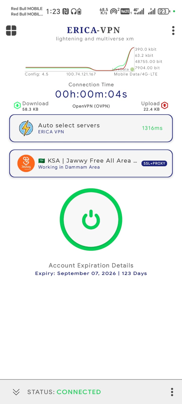 Erica VPN Screenshot 3