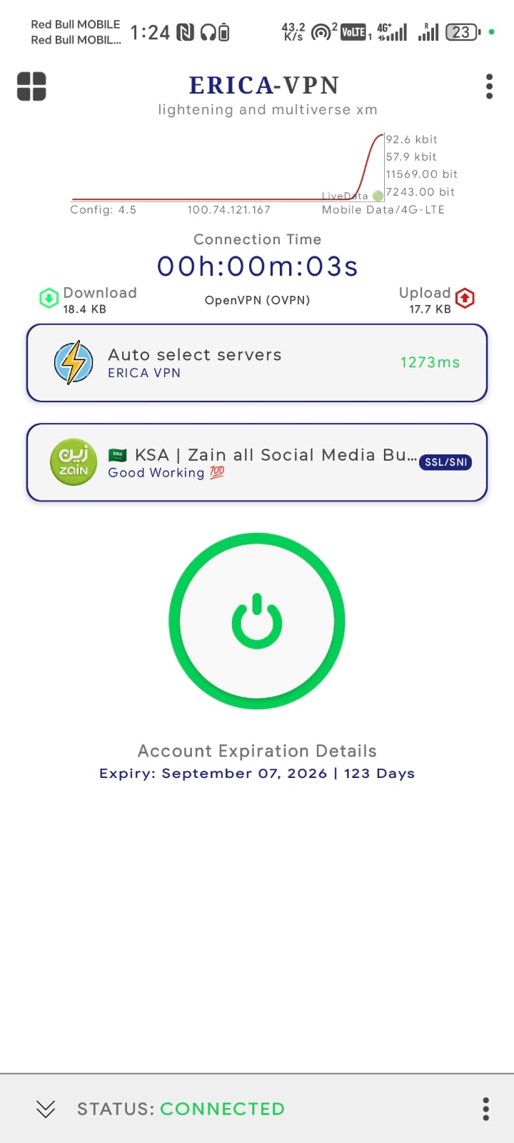 Erica VPN Screenshot 4